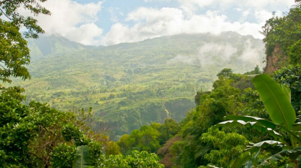 Hotel Indonesie Flores Moni Kelimutu Ecolodge