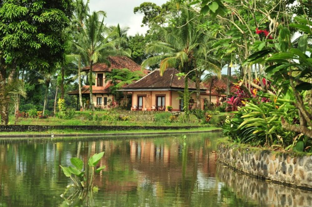 Hotel Indonesie Java Rondreis Vakantie Banyuwangi Ijen Resort