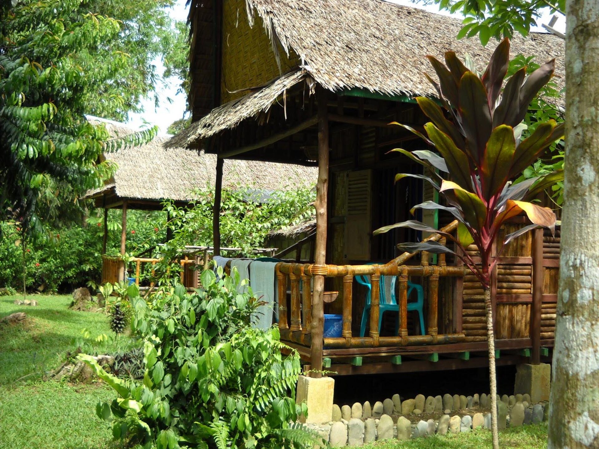 Hotel Sumatra Gunung Leuser Tangkahan mega inn guesthouse