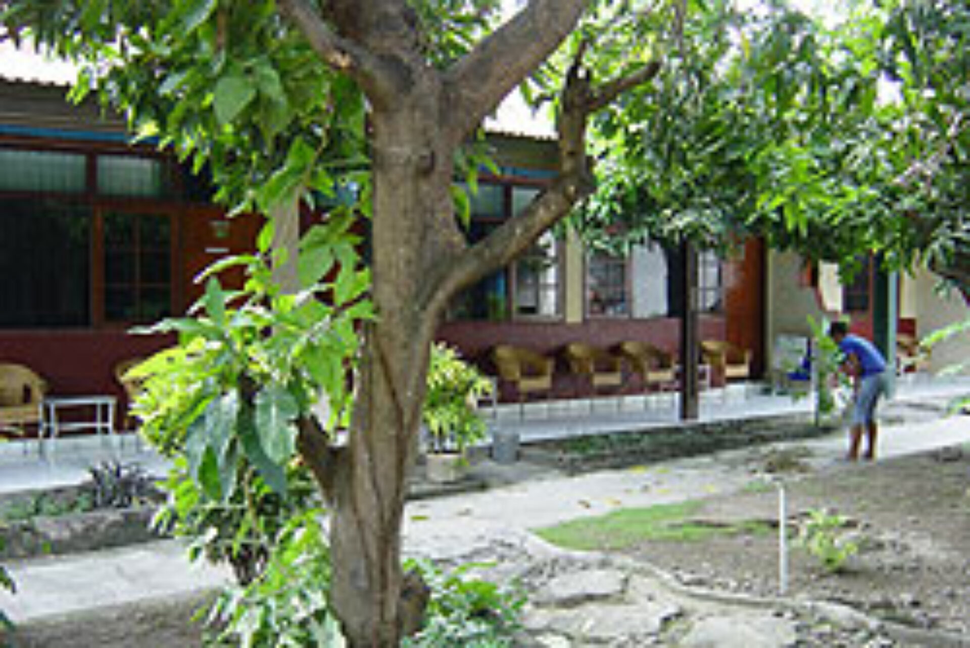 Indonesie Alor Pelangi Indah Hotel