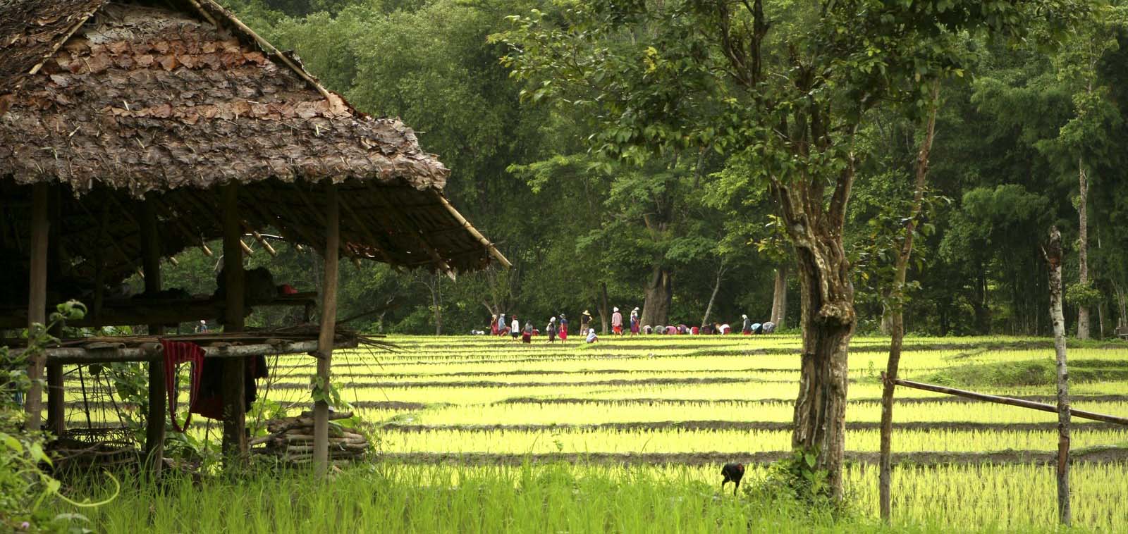 Vietnam Rondreis Verborgen Paden van het Noorden