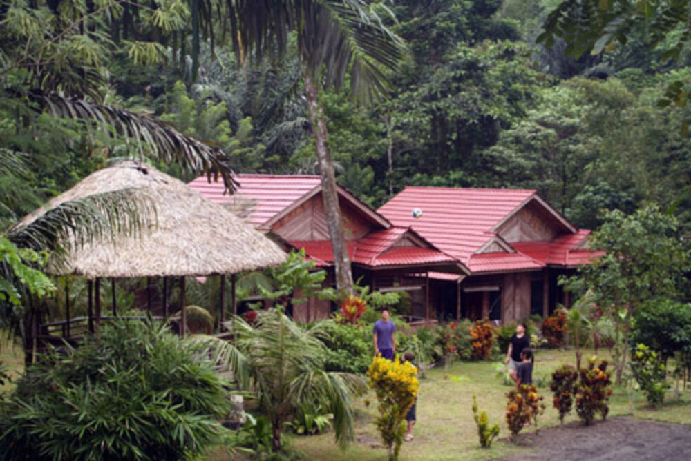 Hotel Indonesie Sulawesi Rondreis Vakantie Regenwoud Tangkoko National Park Tangkoko Dove Villa