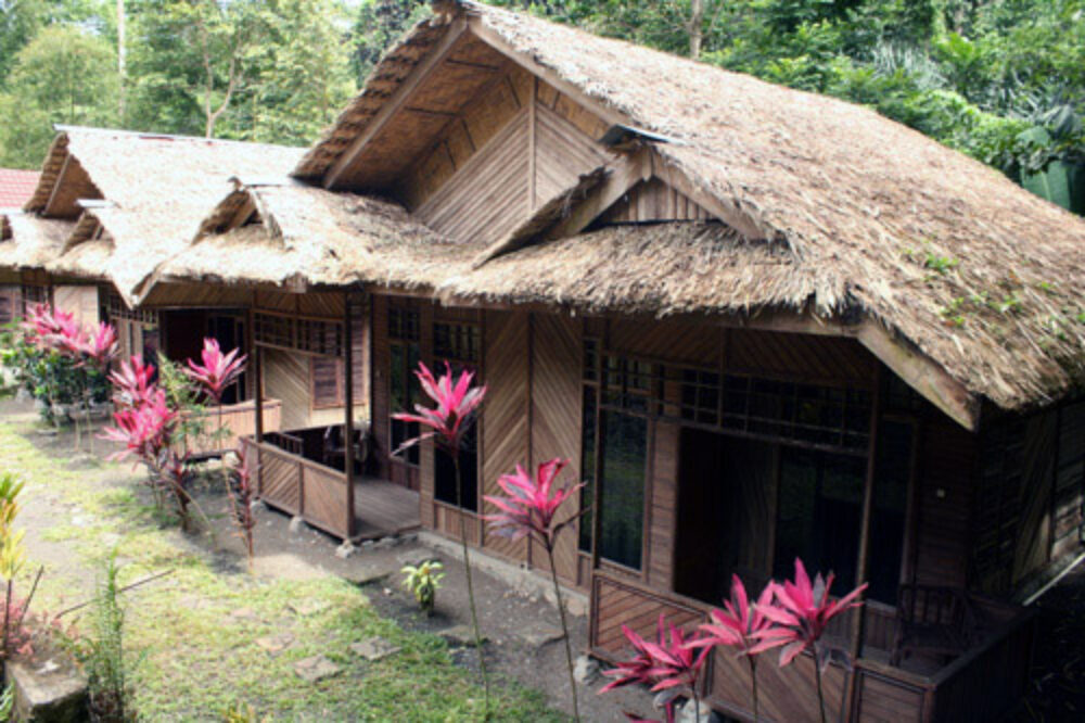 Hotel Indonesie Sulawesi Rondreis Vakantie Regenwoud Tangkoko National Park Tangkoko Dove Villa