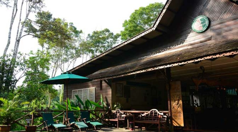 Hotel Maleisie Borneo Rondreis Vakantie Bilit Sukau Rainforest Lodge