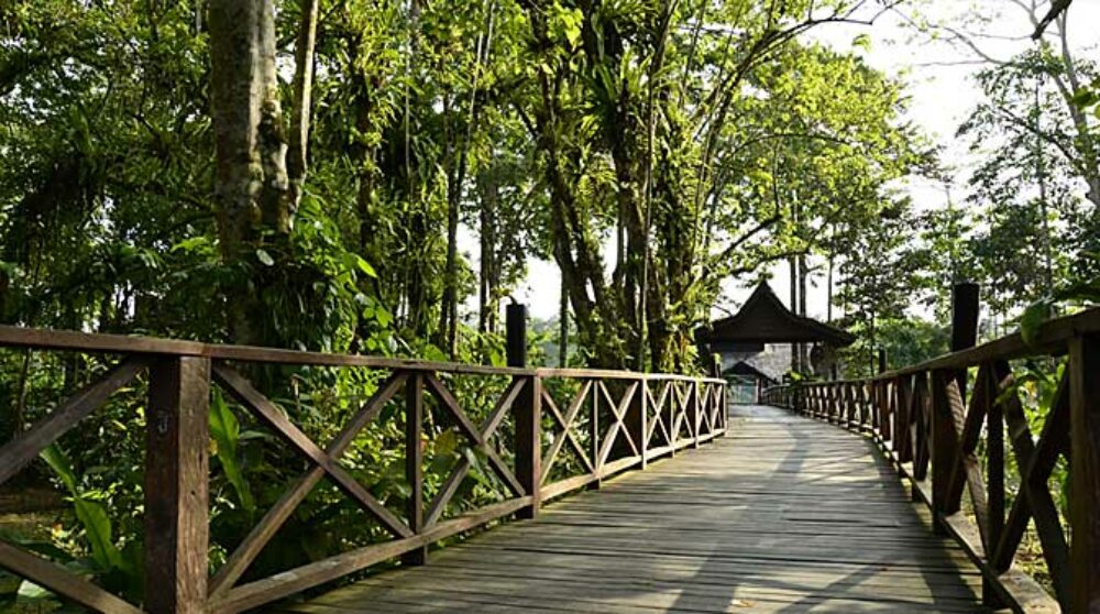Hotel Maleisie Oost Rondreis Vakantie Borneo Sandakan Bilit Rainforest Lodge