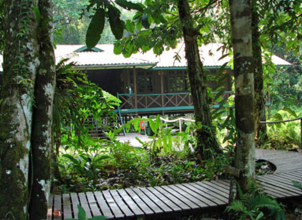 Hotel Maleisie Rondreis Vakantie Borneo Mulu National Park Headquarters HQ