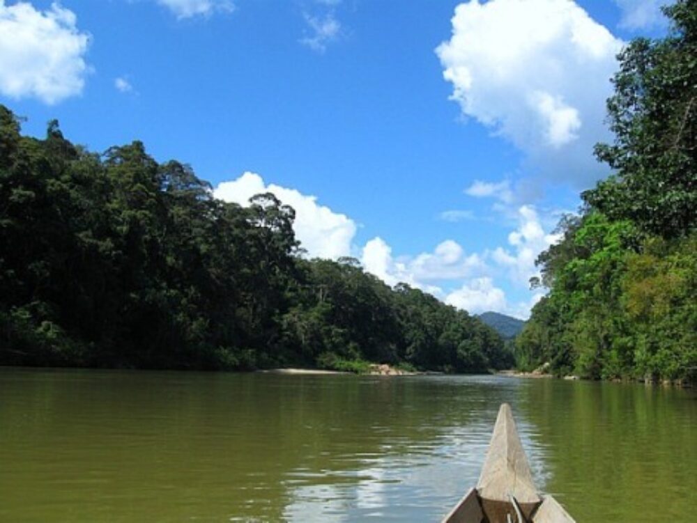 Belum Rainforest Resort Perak Rondreis Malaysia Vakantie Original Asia