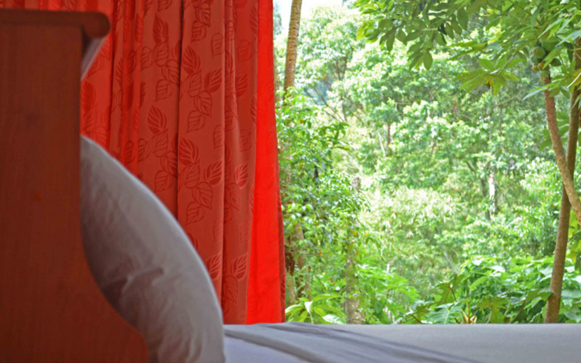 Hotel Sri Lanka Rondreis Vakantie trekking Adams peak Dalhousie Slightly Chilled Guesthouse