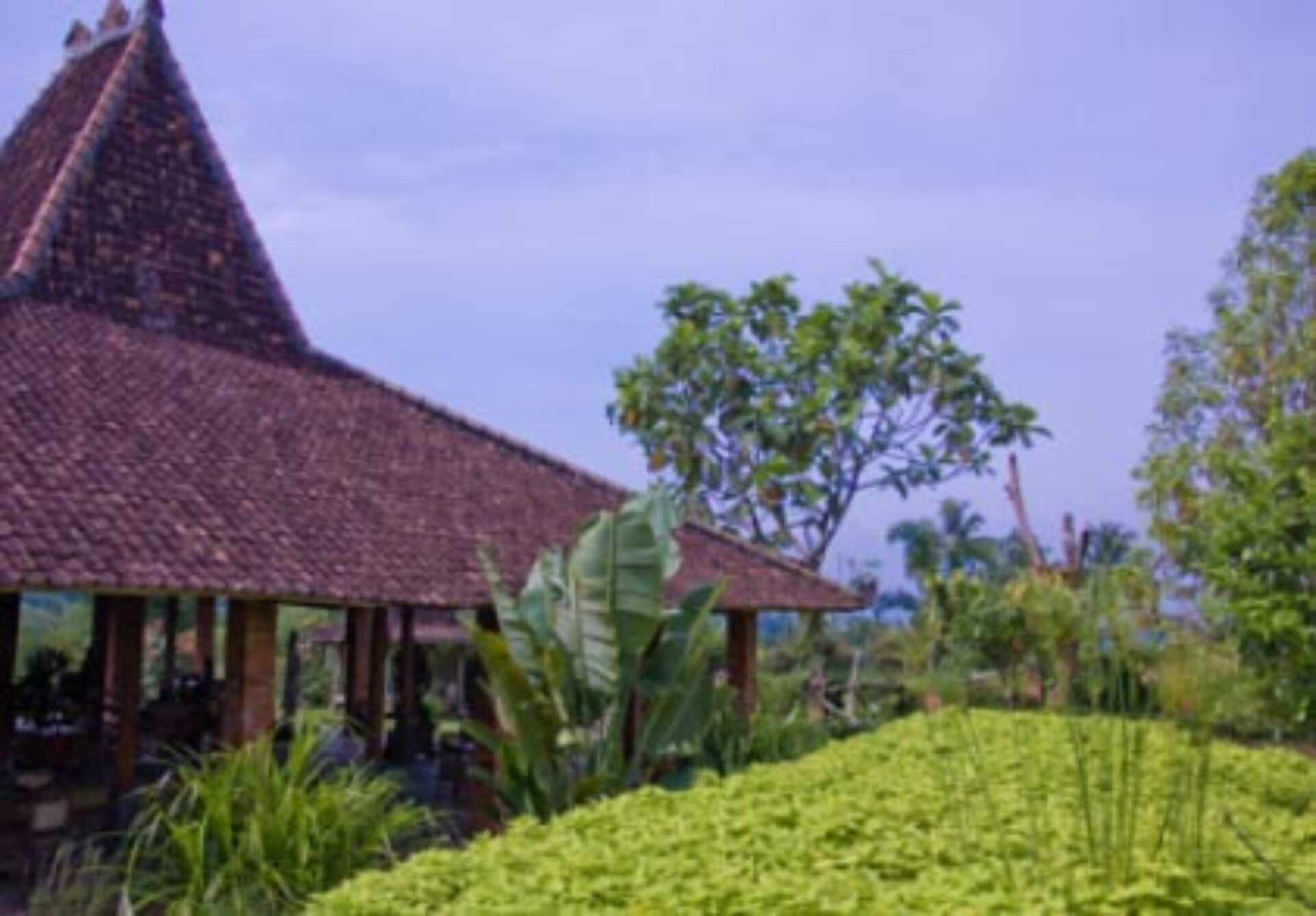 Hotel Java Sukabumi Kampoeng Padi Resort uitzicht