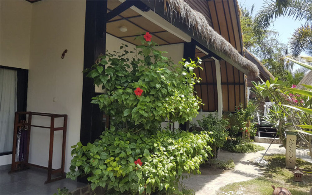 original asia hotel indonesie lombok gili air turtle beach resort lumbung