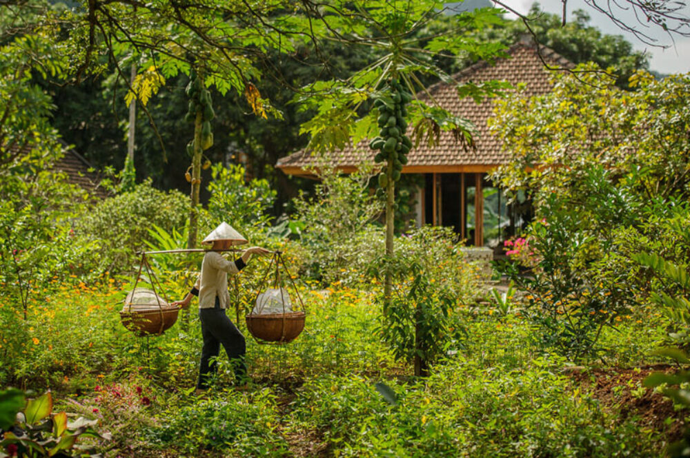 Original Asia Vietnam Rondreis Vakantie Ninh Binh Tam Coc Garden Resort