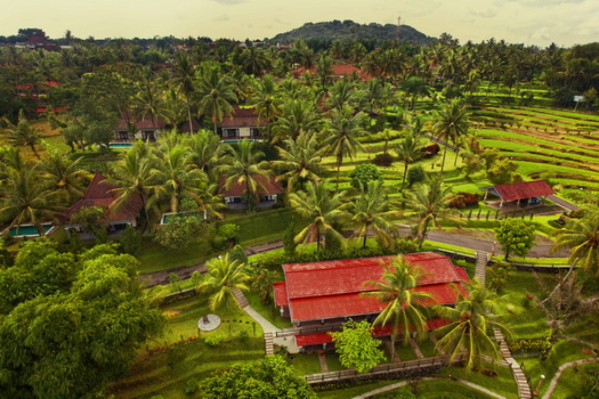 Hotel Original Asia Indonesie Java Rondreis Vakantie Magelang Borobudur Yogyakarta Puri Asri Hotel