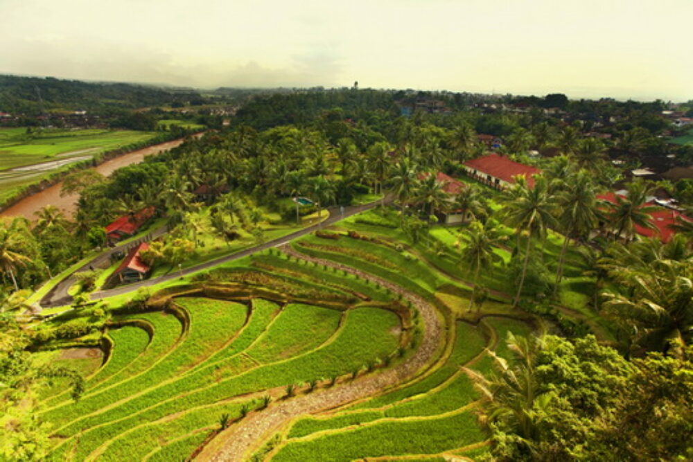 Hotel Original Asia Indonesie Java Rondreis Vakantie Magelang Borobudur Yogyakarta Puri Asri Hotel