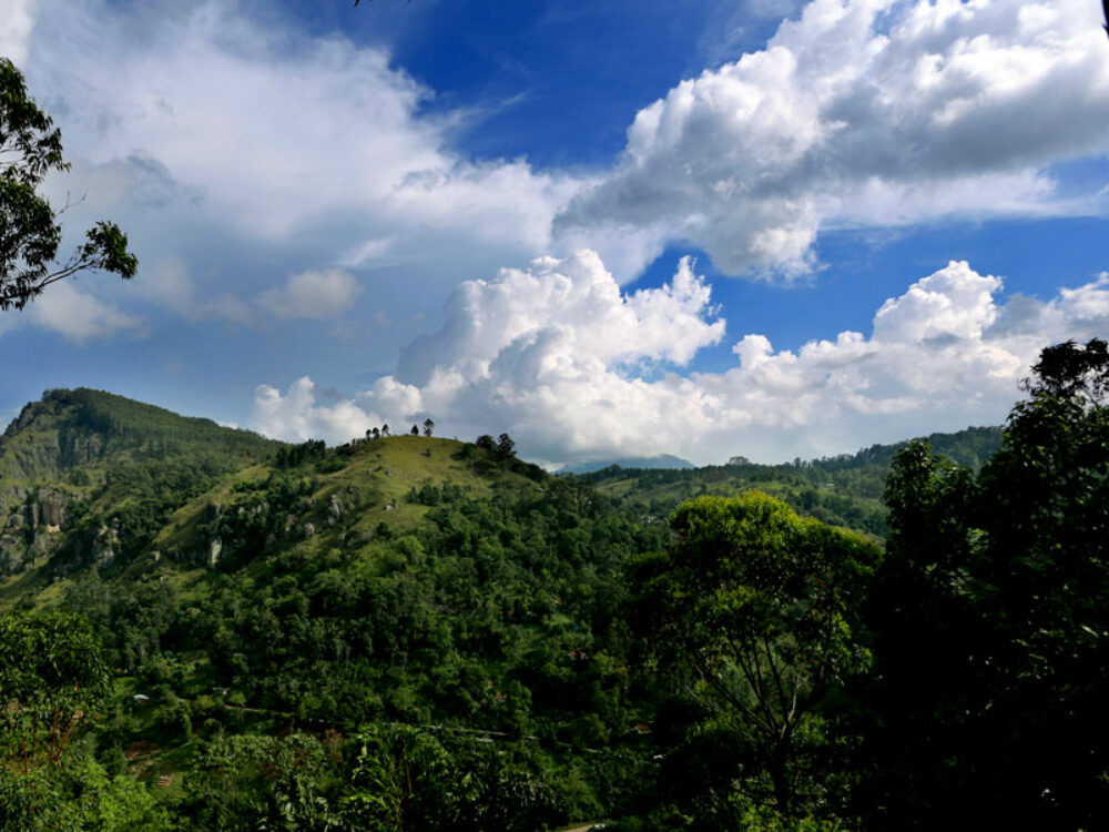 Hotel Vakantie Rondreis Sri Lanka Original Asia Ella Morning Dew Hotel