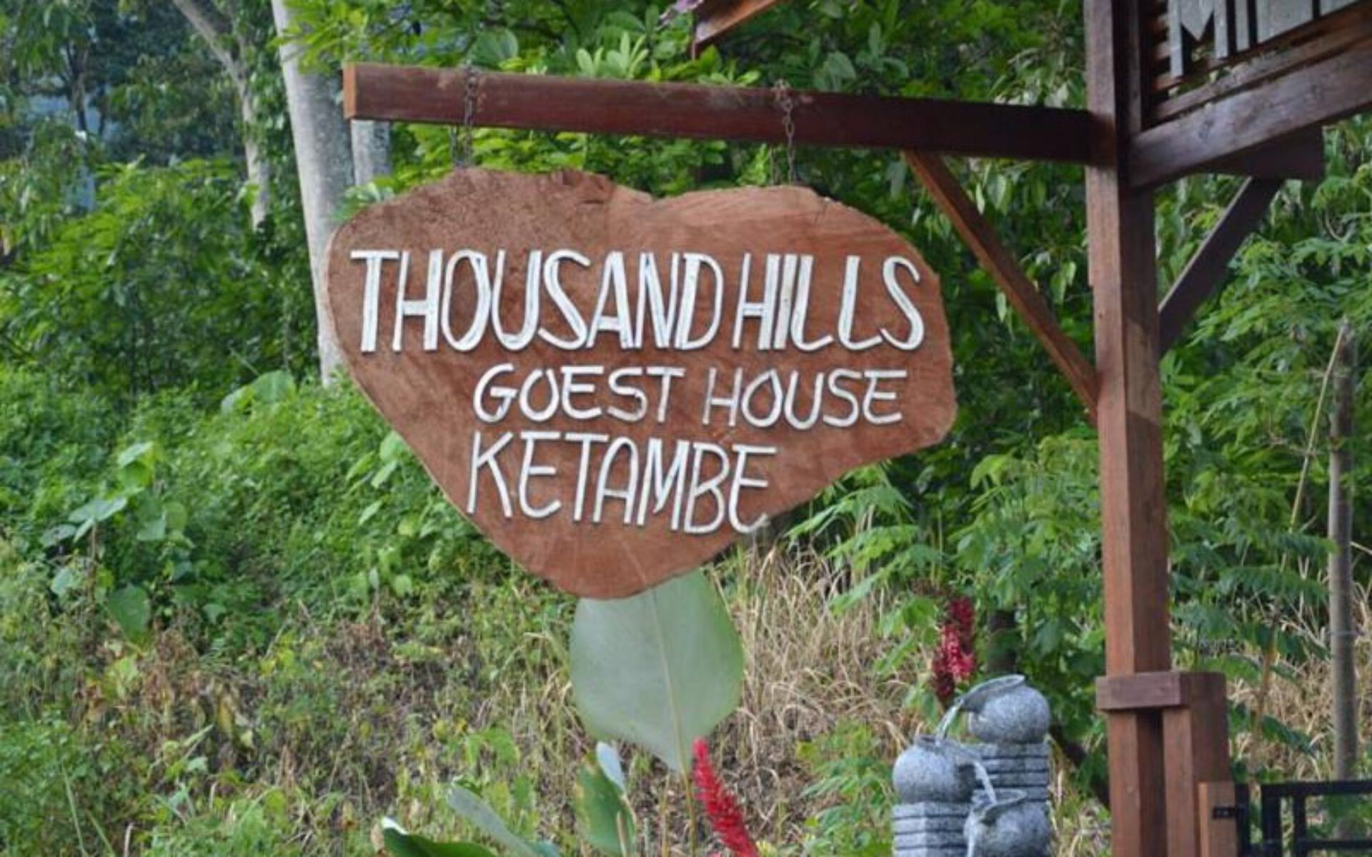 hotel thousand hills guesthouse indonesie sumatra ketambe galerij original asia rondreis vakantie