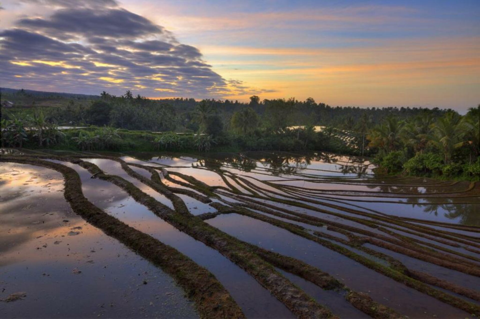 Cempaka Belimbing Villa Original Asia Belimbing vakantie rondreis Bali 7