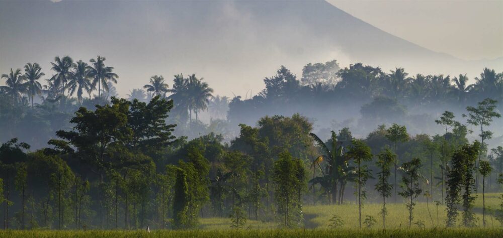 Home 2500x1600 Istock Original Asia Rondreis Lombok Vakantie algemeen Rinjani trekking top zonsopkomst mooi