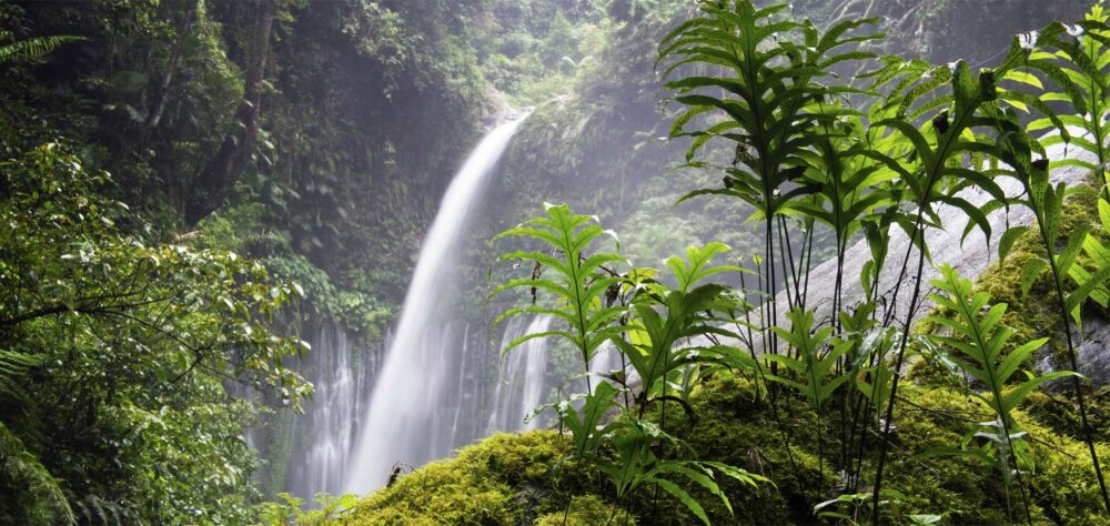 Home 2500x1600 Istock Original Asia Rondreis Lombok Vakantie algemeen Rinjani trekking top zonsopkomst mooi