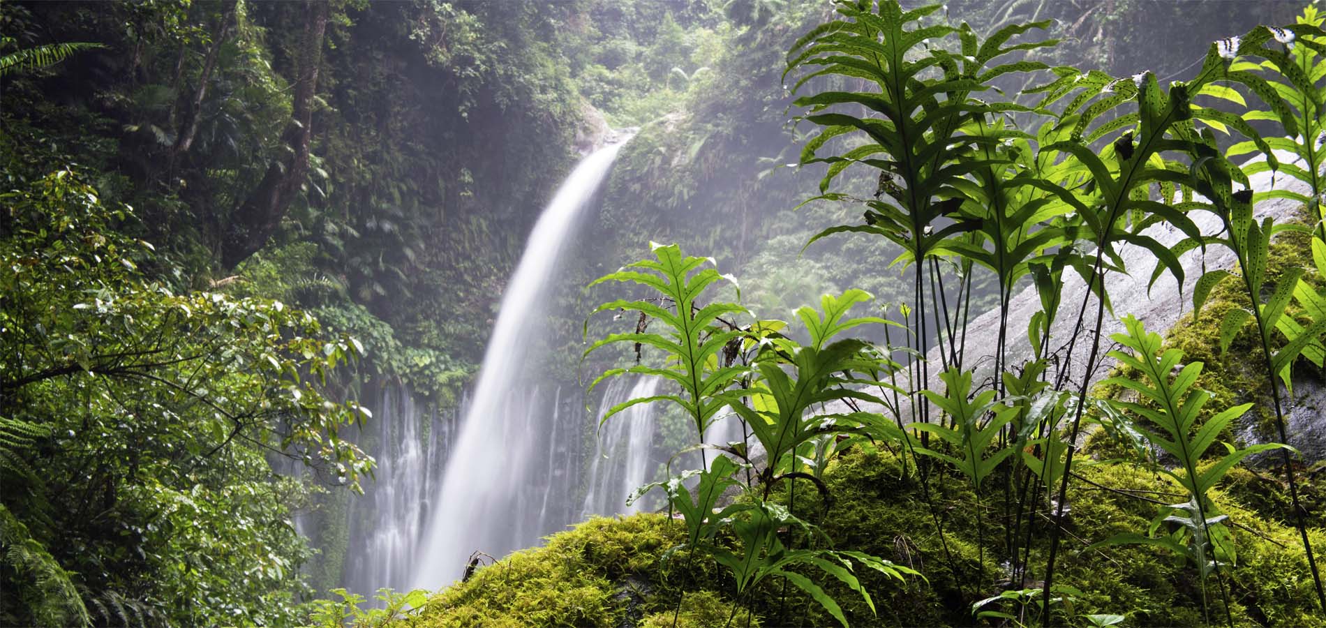 Home 1900x900 Istock Indonesie Lombok natuur centraal rinjani senaru waterval