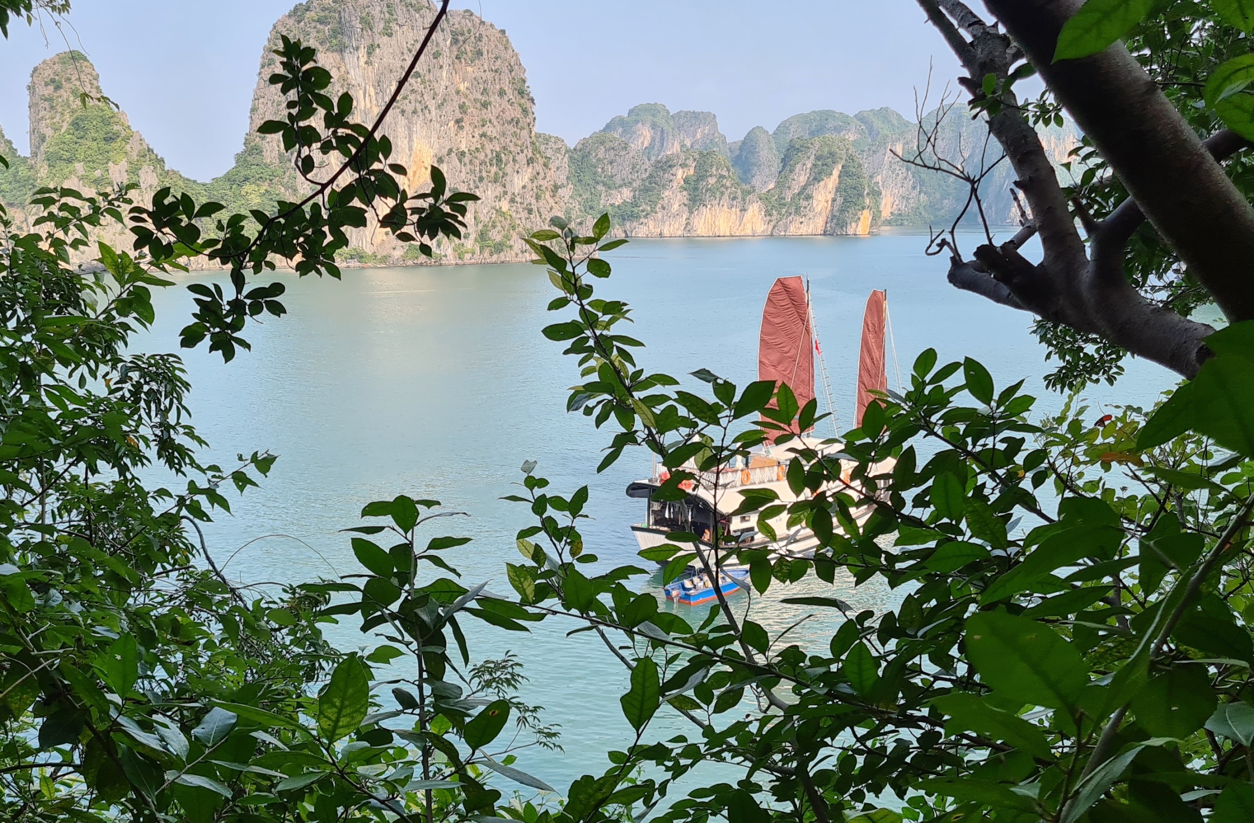 Home Original Asia Vietnam Rondreis Vakantie Noord Halong Bay Bai Tu Long Bay cruise jonk natuur mooi