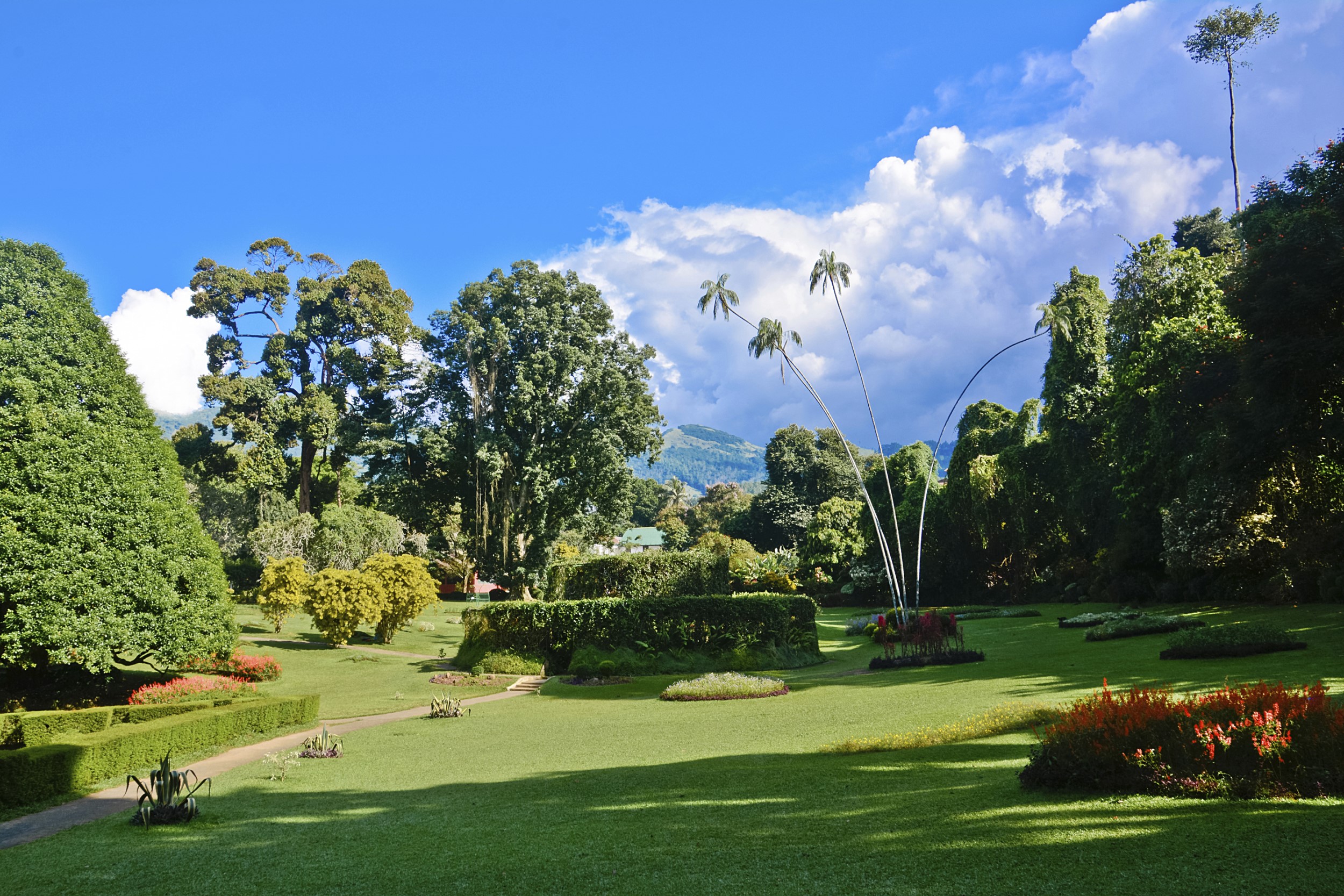 Home Sri Lanka Peradeniya Kandy Istock rondreis vakantie tuinen botanische