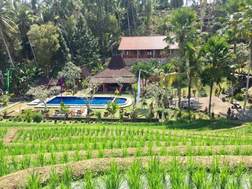 Kebun Villa Original Asia Belimbing vakantie Rondreis Bali aerial