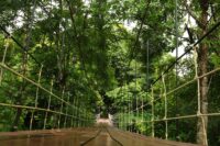 Mulu National Park Headquarters Sarawak Rondreis Malaysia Vakantie Original Asia