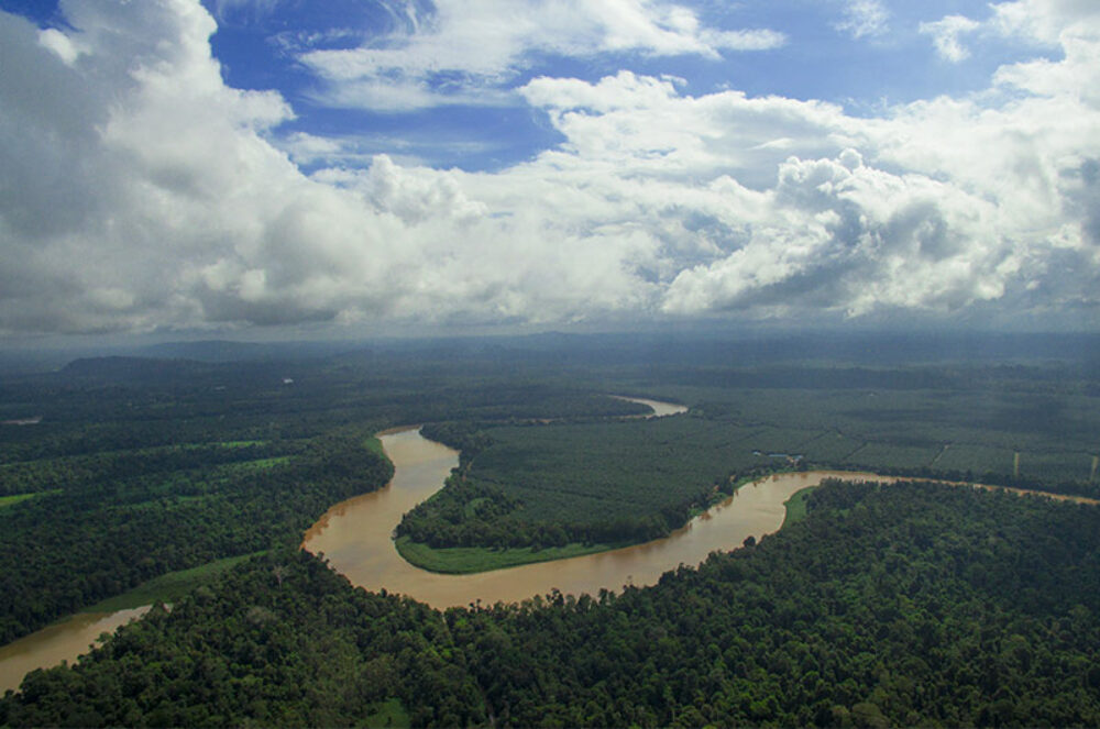 Hotel Maleisie Oost Rondreis Vakantie Borneo Sandakan Bilit Rainforest Lodge