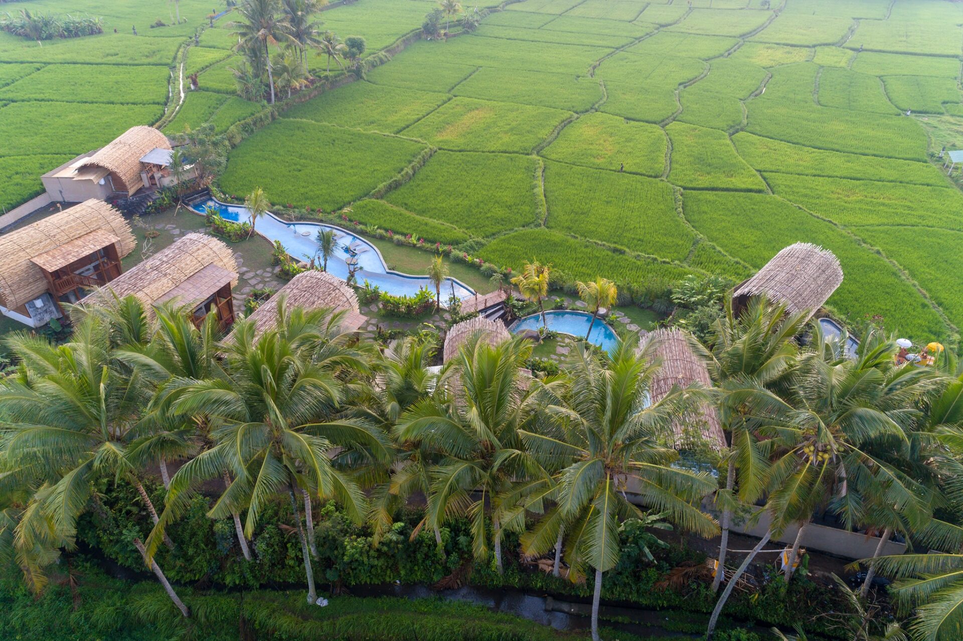 Beehouse Dijiwa Ubud Resort Hotel Original Asia Rondreis Bali Vakantie Indonesia