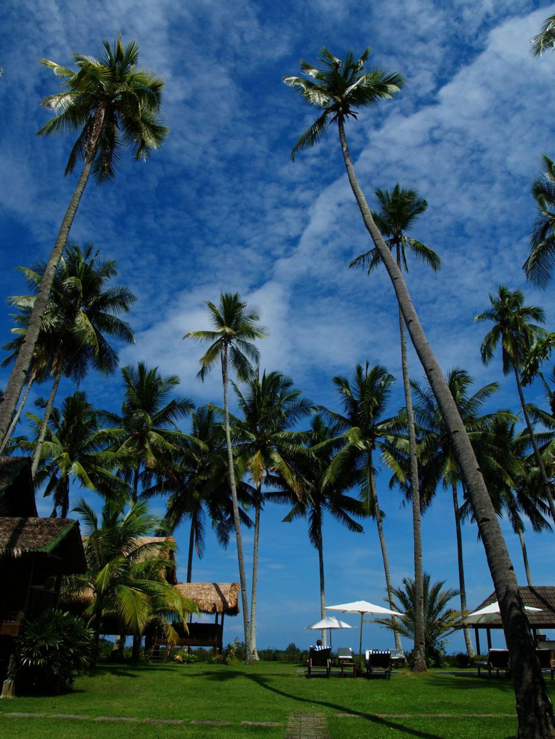 Bon Ton Resort Langkawi Rondreis Malaysia Vakantie Original Asia