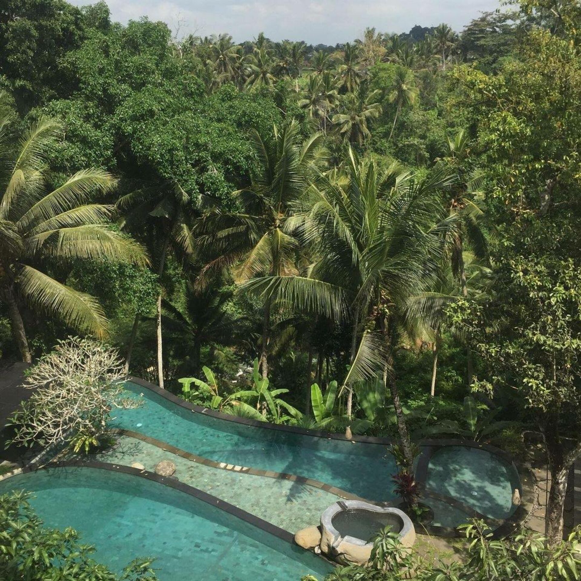 Bucu View Resort Hotel Ubud Original Asia Rondreis Bali Vakantie Indonesie