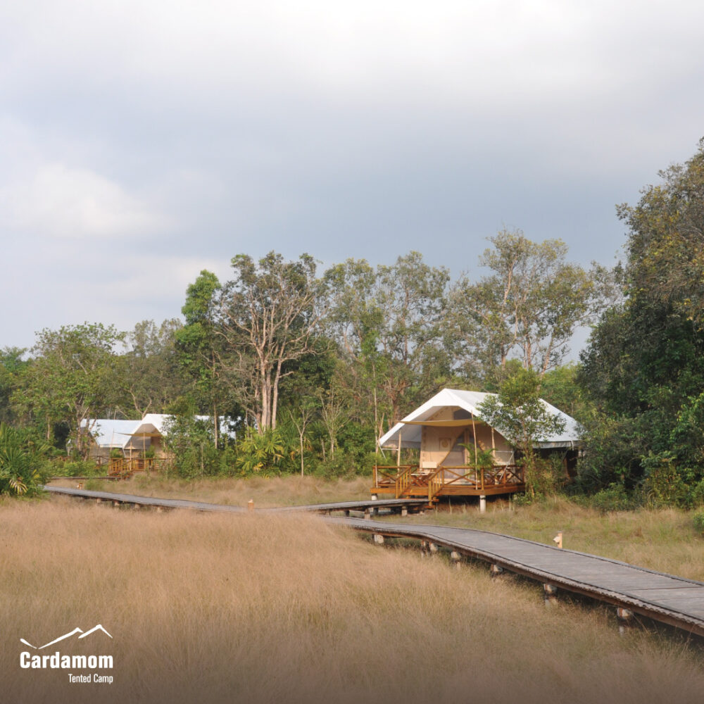 Cardamom Tented Camp Phnom Penh Rondreis Cambodia Vakantie Original Asia