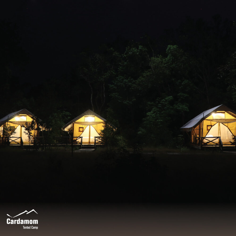 Cardamom Tentend Camp Cardamom Mountain Rondreis Cambodja Original Asia