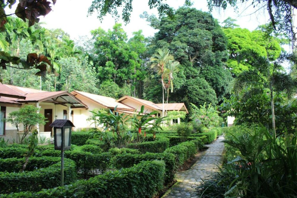 Ecolodge Bukit Lawang Cottages Sumatra Rondreis Indonesia Vakantie Original Asia