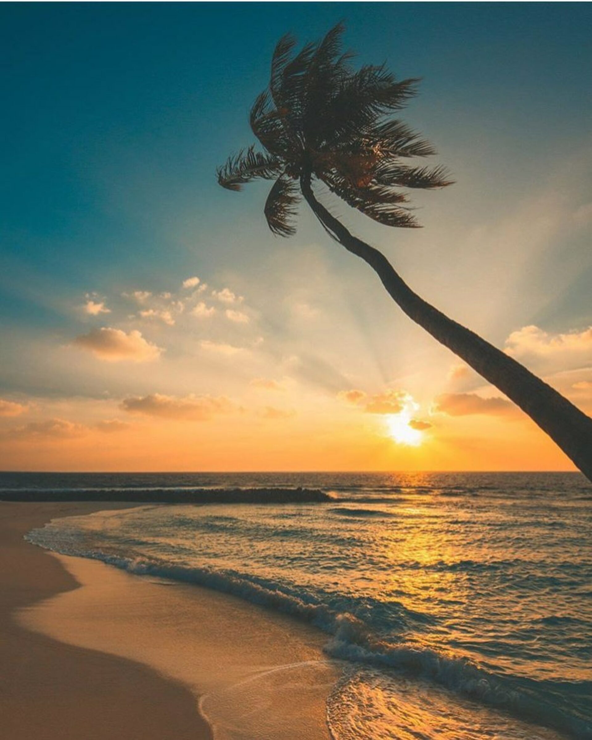 Embudu village malediven original asia rondreis sri lanka malediven vakantie resort beach palm