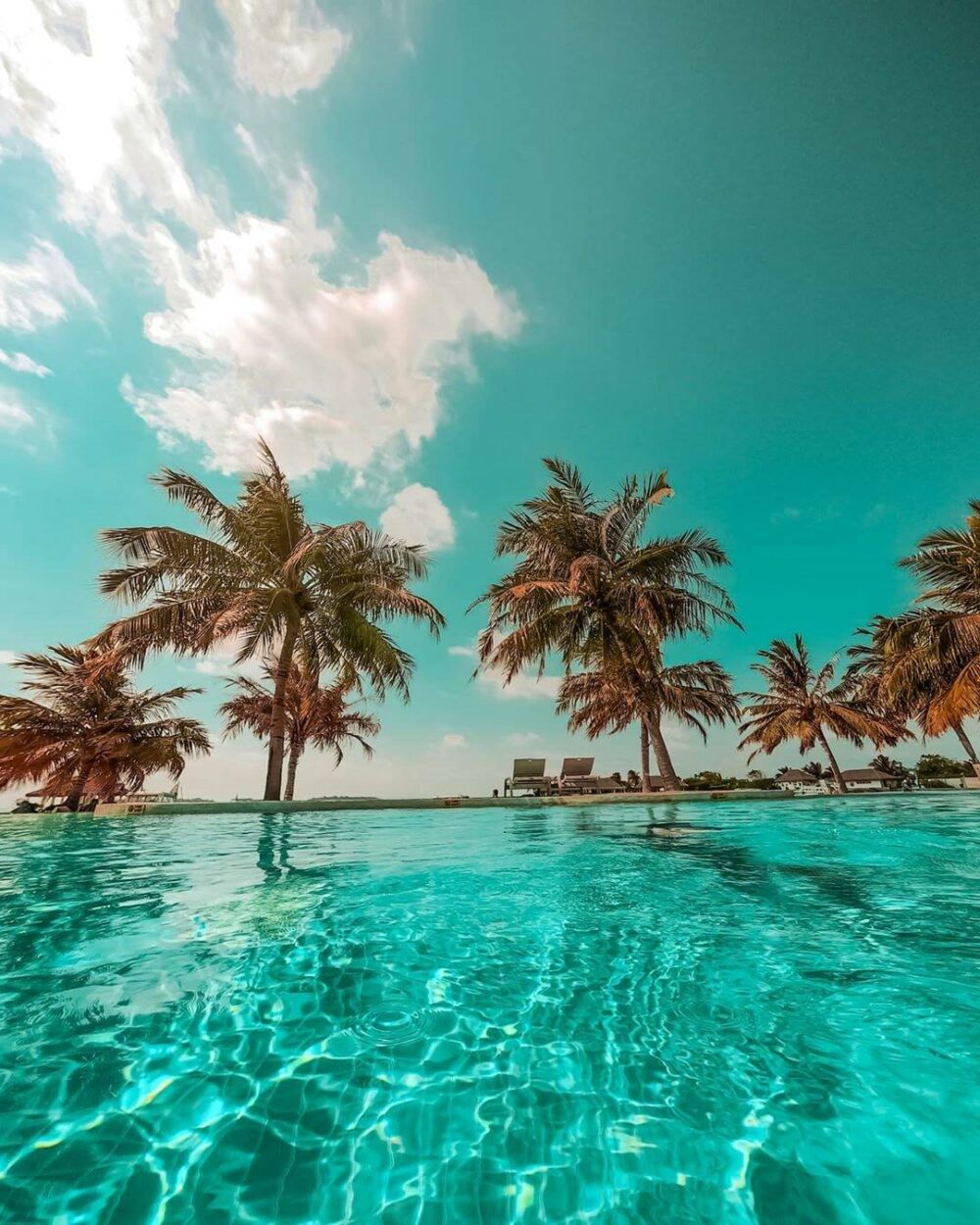 Holiday Inn Resort Kandooma malediven original asia rondreis sri lanka malediven vakantie palm zwembad