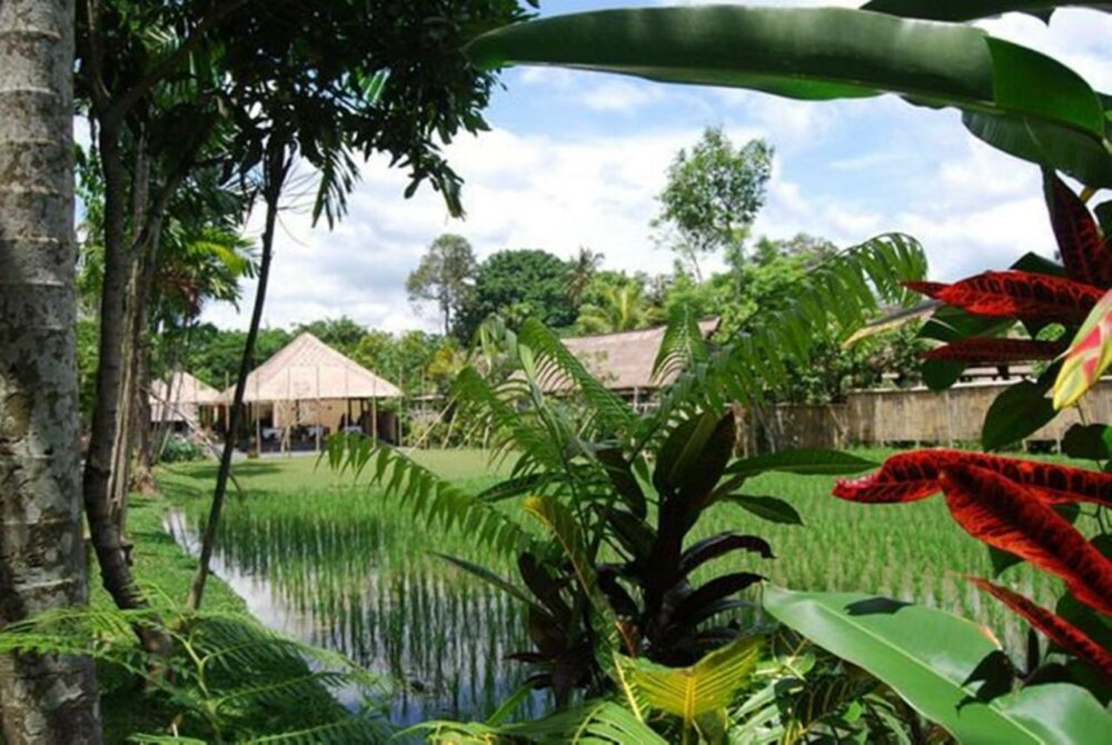 Hotel Saren Indah Ubud Resort Original Asia Rondreis Bali vakantie Indonesie