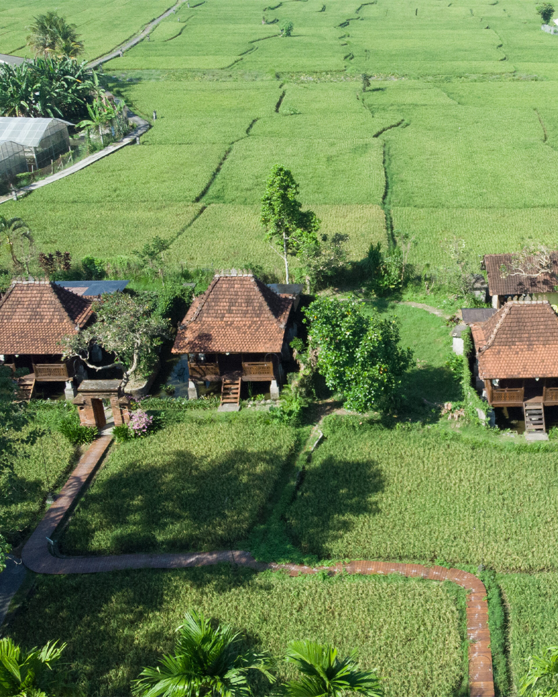 Kajane Yangloni Resort Ubud Hotel Original Asia Rondreis Bali Vakantie Indonesie