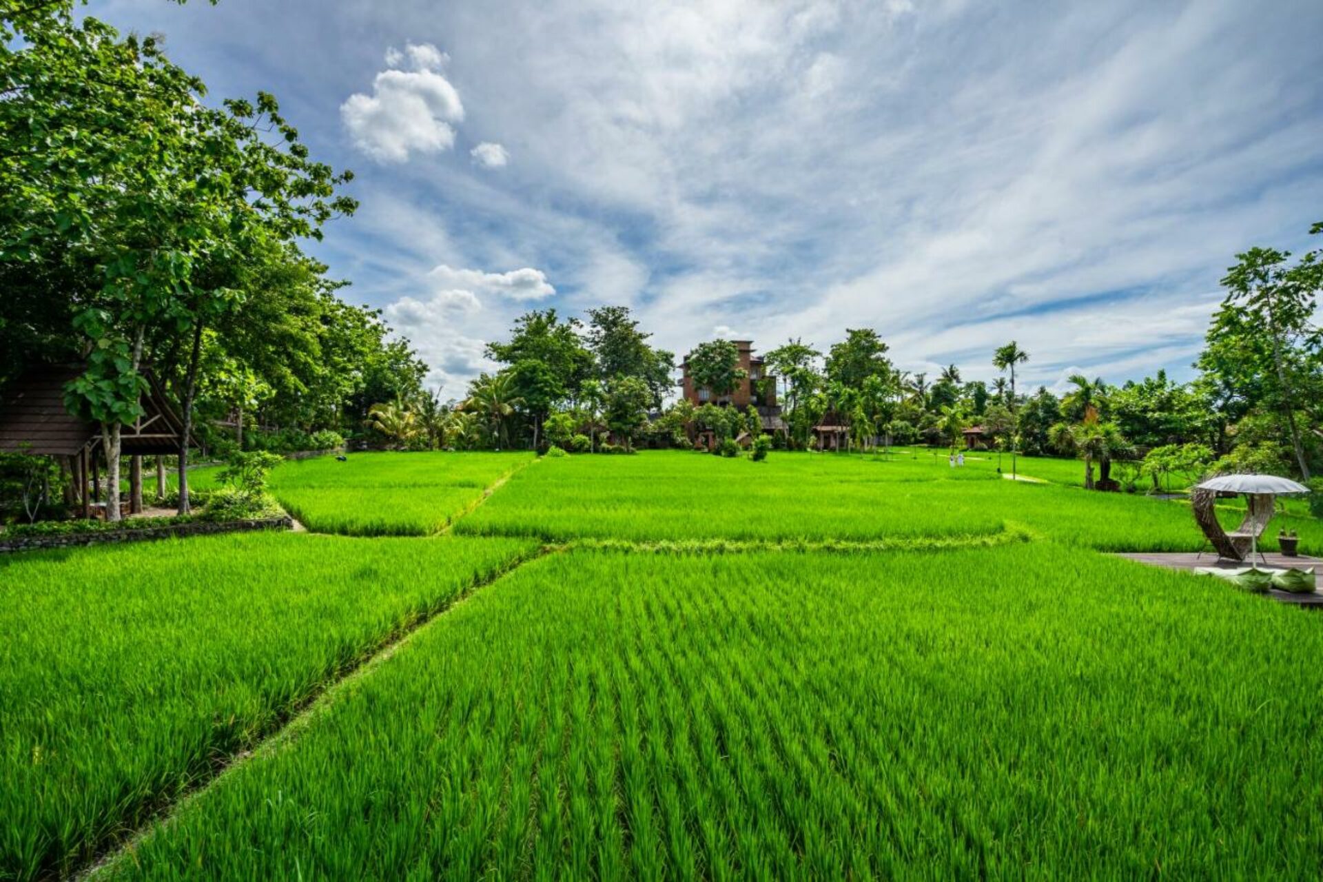 Kajane Yangloni Resort Ubud Hotel Original Asia Rondreis Bali Vakantie Indonesie