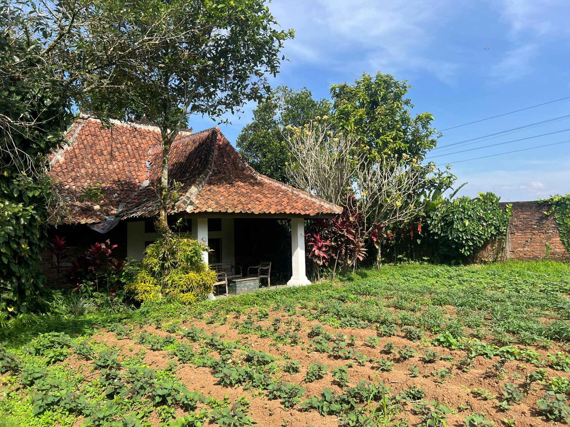 Kampoeng Padi Rondreis Indonesie Java Vakantie Tuin 2