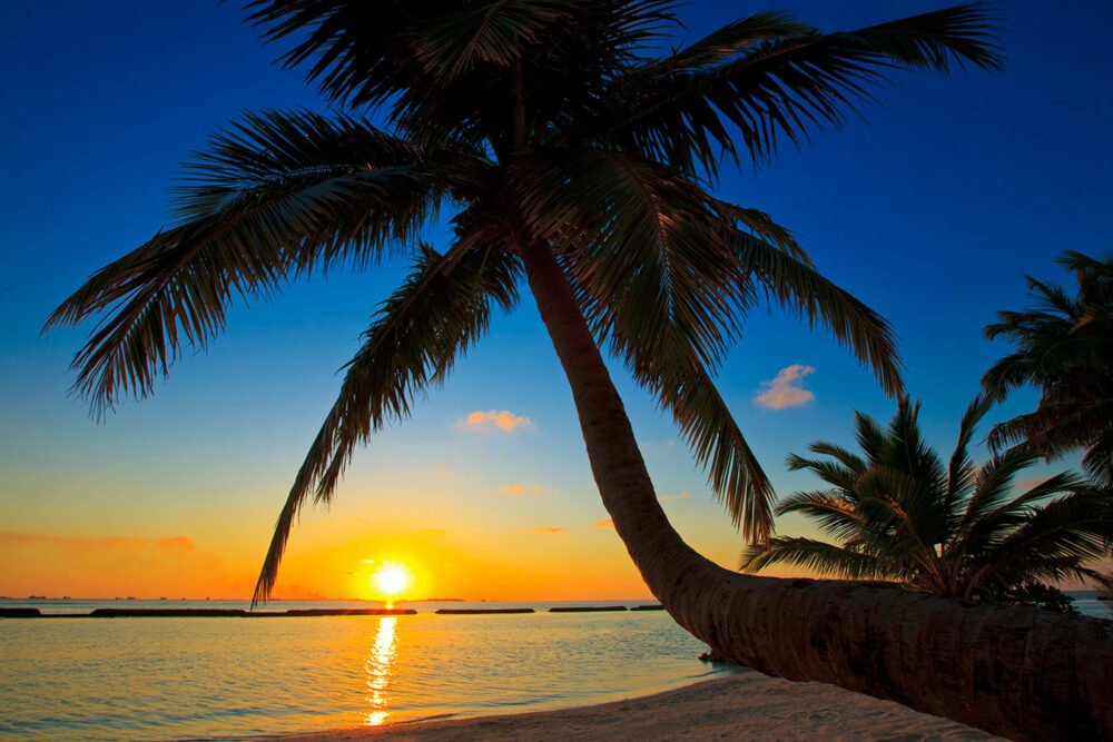Kurumba Resort Malediven original asia rondreis sri lanka malediven vakantie palm