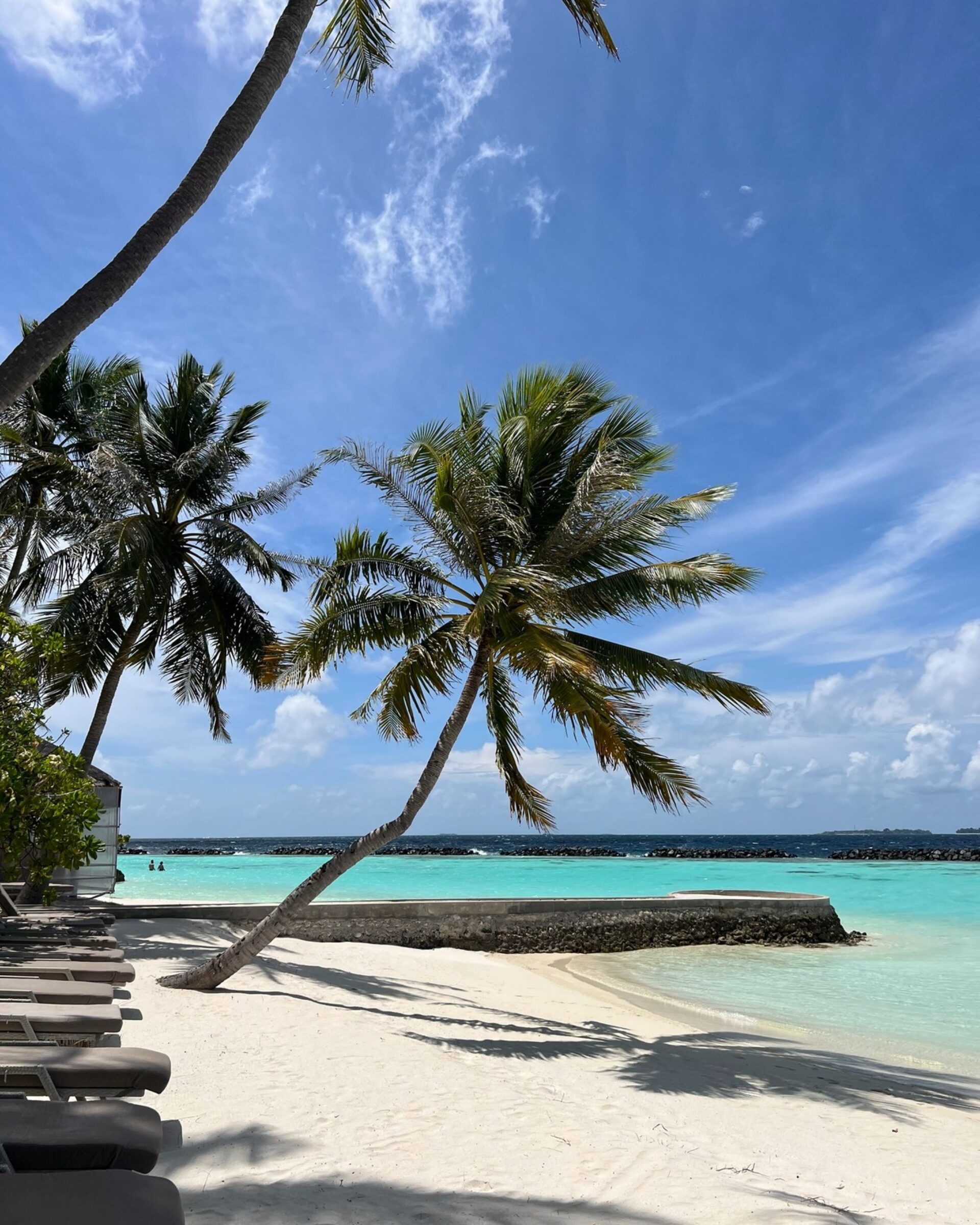 Kurumba Resort Malediven original asia rondreis sri lanka malediven vakantie palm1