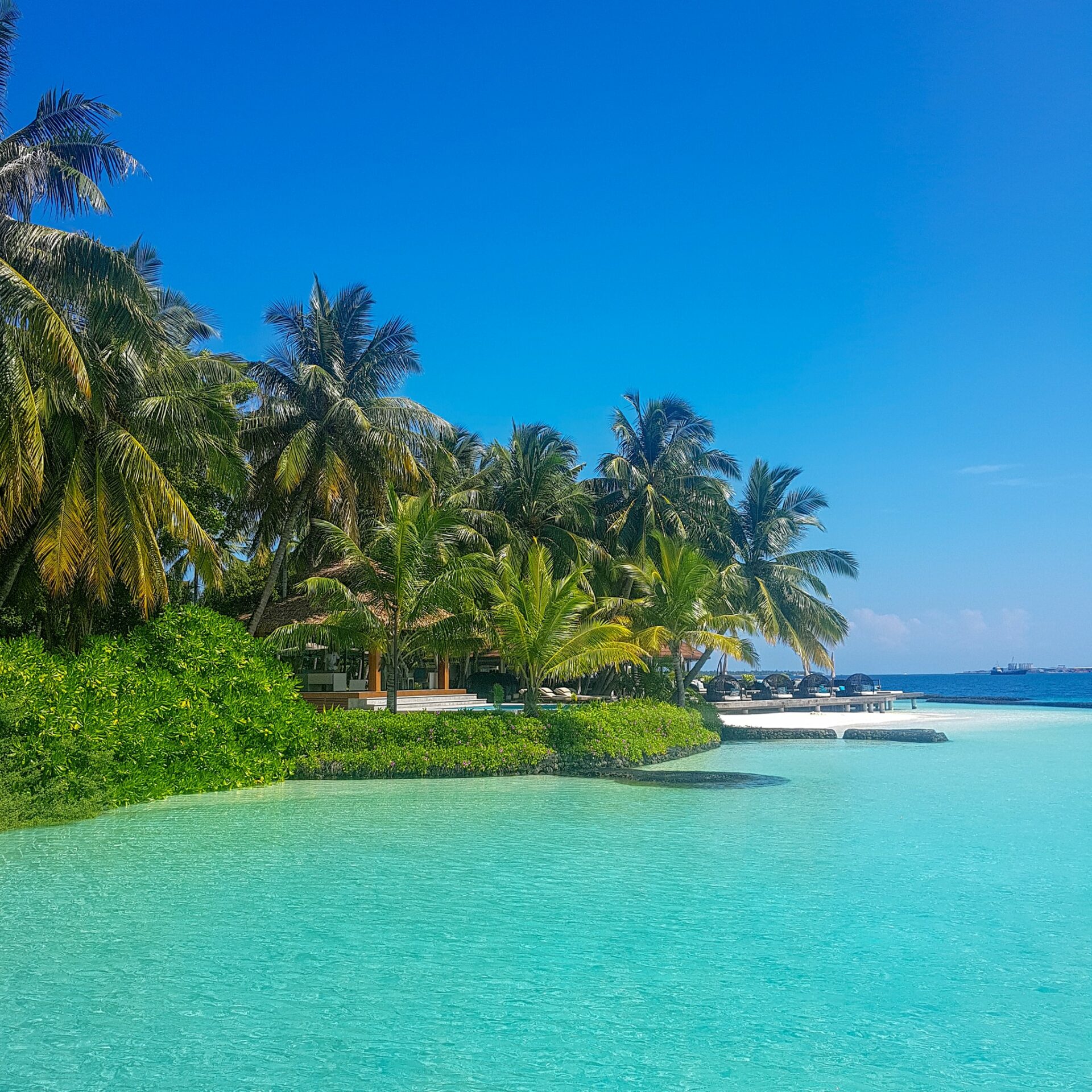 Kurumba Resort Malediven original asia rondreis sri lanka malediven vakantie palm3