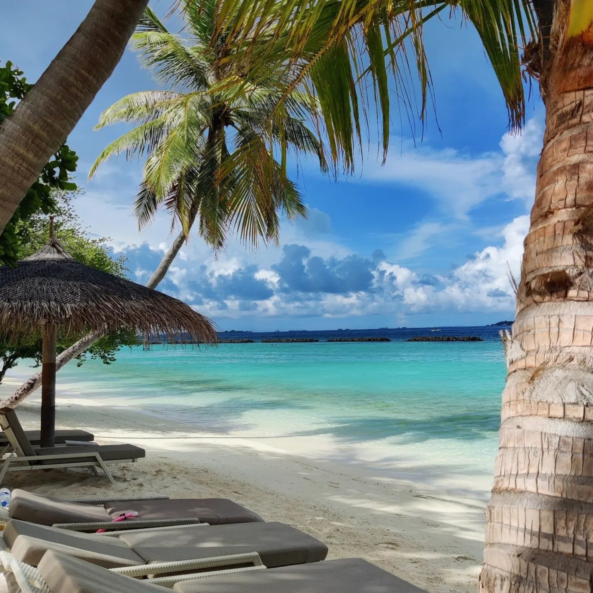 Kurumba Resort Malediven original asia rondreis sri lanka malediven vakantie strand