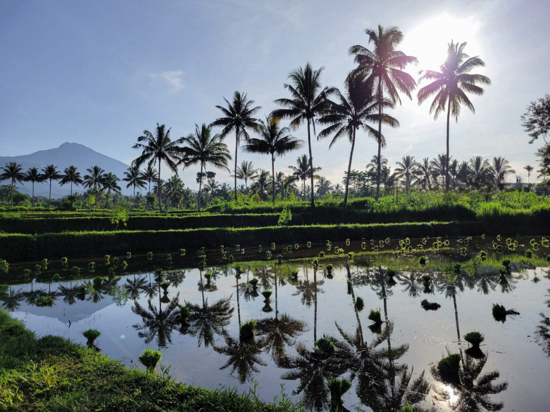 Les Rizieres Lombok Hotel Tetebatu Original Asia Rondreis Bali Lombok Indonesie