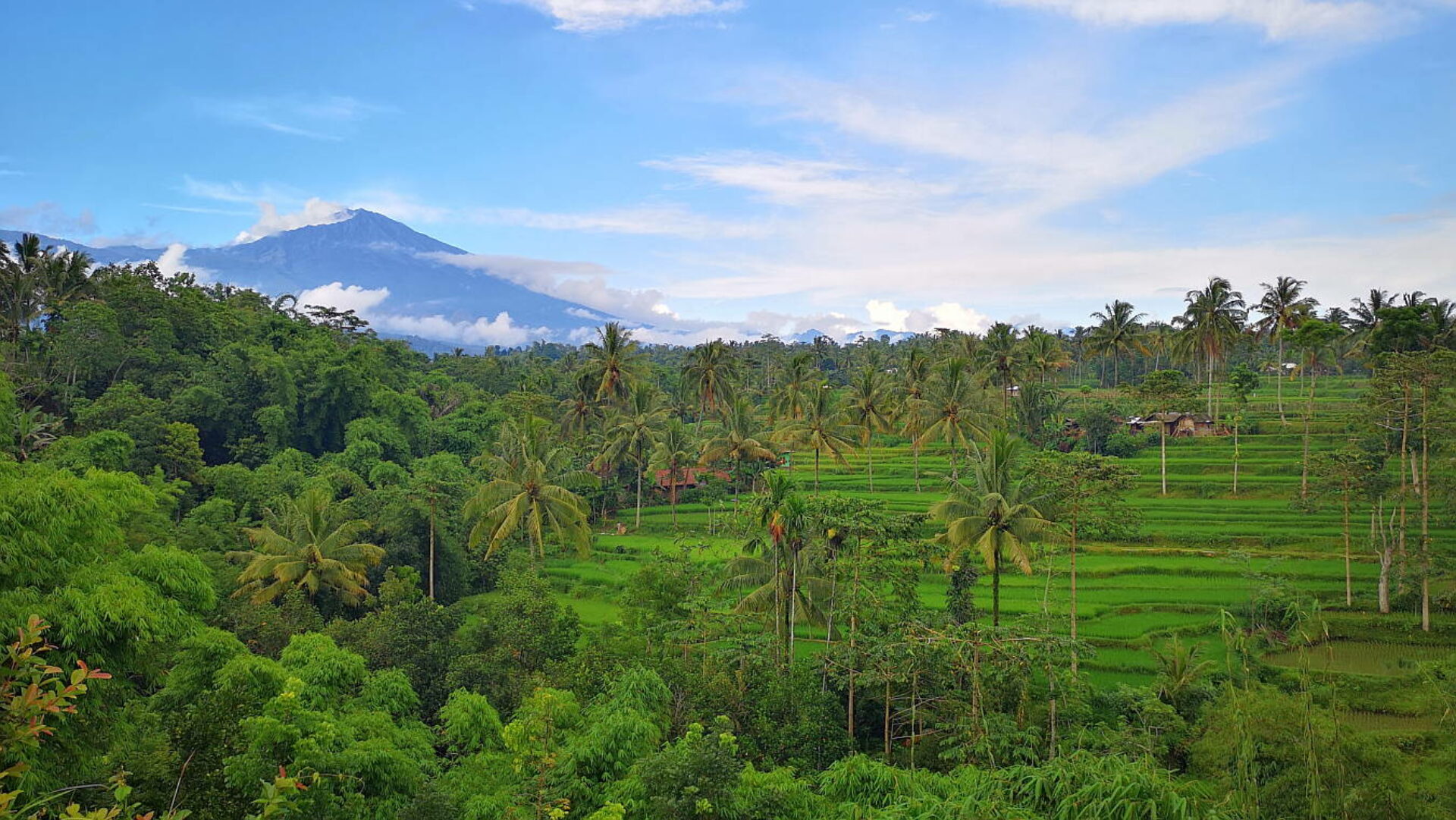 Les Rizieres Lombok Hotel Tetebatu Original Asia Rondreis Bali Lombok Indonesie