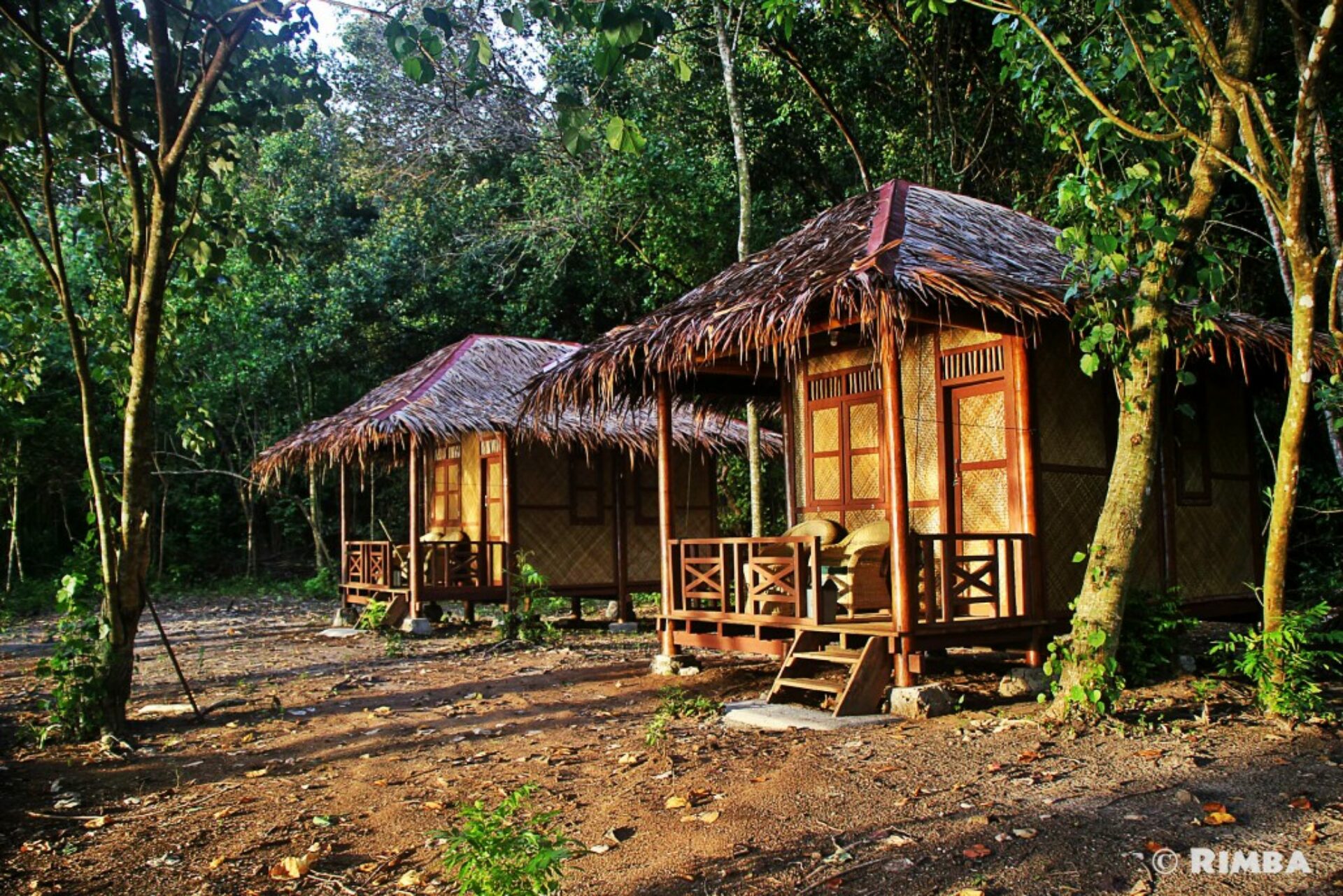 Rimba Ecolodge Padang Rondreis Indonesia Vakantie Original Asia