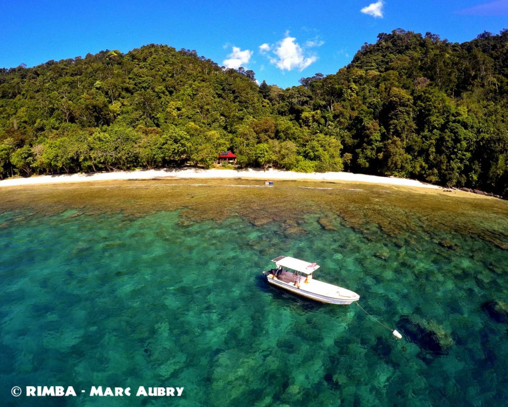 Rimba Ecolodge Padang Sumatra Rondreis Indonesië Vakantie Original Asia