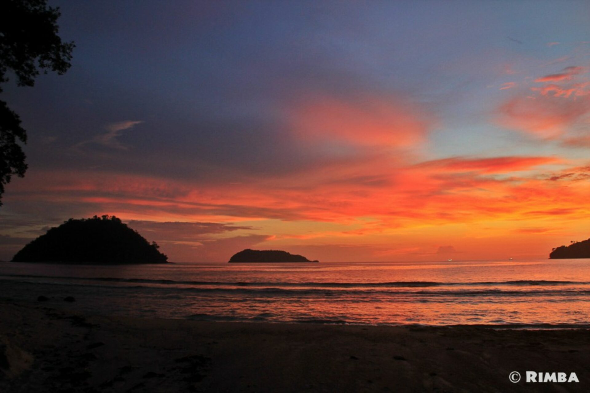 Rimba Ecolodge Padang Sumatra Rondreis Indonesië Vakantie Original Asia