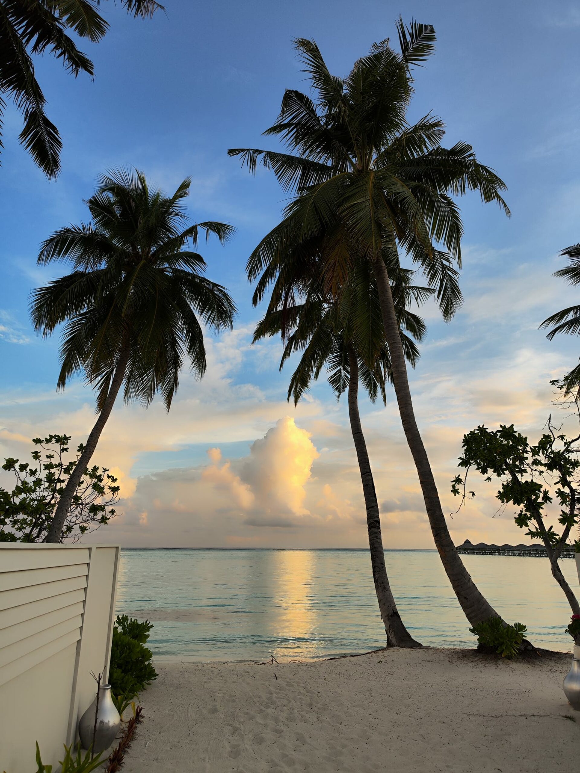 Sun Island Resort malediven original asia rondreis sri lanka malediven vakantie palm2